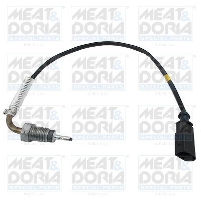 Sensor, exhaust gas temperature